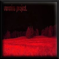 ilyhiryu - Vermins Project