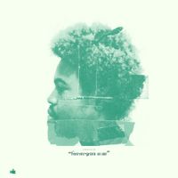 ZRi. - Forever,Green In Me