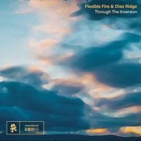 Flexible Fire - Through The Inversion