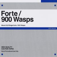 Mount XLR - Forte / 900 Wasps