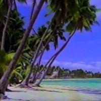vcr-classique - Fiji Babe