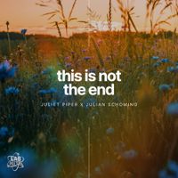 Julian Schoming - This Is Not The End