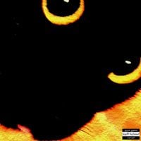 naoeofer - Meu Gato Quer Me Matar