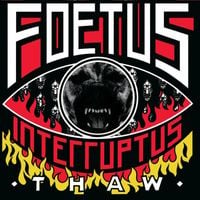 Foetus - Thaw