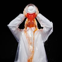 Hansom Ēli - Sip