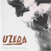 Uzeda - The Peel Sessions