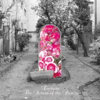 Euchaeta - The Return of the Parade
