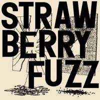 Strawberry Fuzz - Strongs Dr.