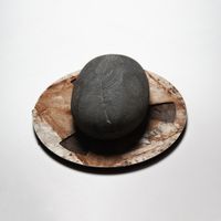 Erland Cooper - Carve The Runes, Then Be Content With Silence