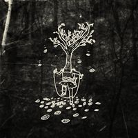 Black Moth Super Rainbow - The Autumn Kaleidoscope Got Changed (Album, Sing To Us)
