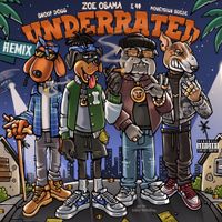 Zoe Osama - Underrated (Remix)