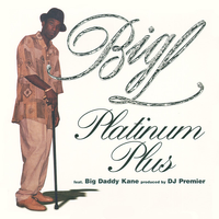 Big L - Platinum Plus