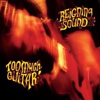 Reigning Sound - Too Much Guitar