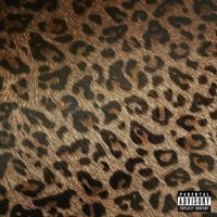 Lil Tecca - PLAN A DIGITAL ALBUM A EDITION