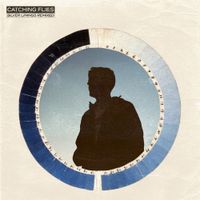 Catching Flies - Silver Linings Remixed