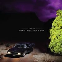 The Dig - Midnight Flowers