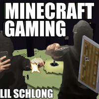 Lil Schlong - Minecraft Gaming