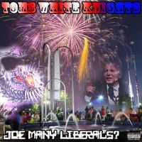 Tom's White Knights - Joe Many Liberals?