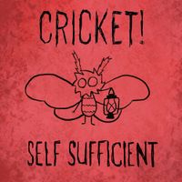 Cricket! - Self Sufficient