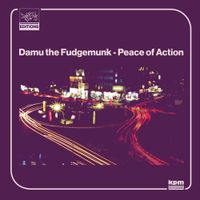 Damu The Fudgemunk - Peace of Action