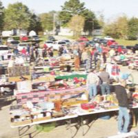 Carpet Dust - recycling sale