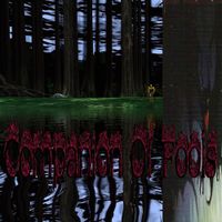 Companion Of Fools - Demo