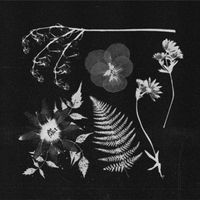 Bloody/bath - Unholy Sonnets