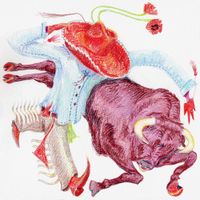 flipturn - Rodeo Clown