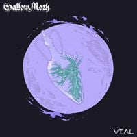 Sallow Moth - Vial