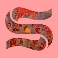 Kaitlyn Aurelia Smith - Neptunes