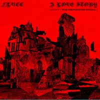 FLUCC - A Love Story