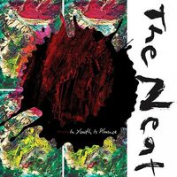 The Neat - In Youth Is Pleasure
