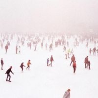 Weekday Wolves - The World's Most Liveable City