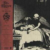 Us In Motion - The Noble Rot