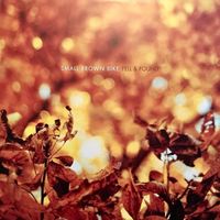 Small Brown Bike - Fell & Found