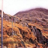Section 25 - From The Hip