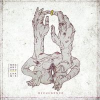 Organized Chaos - Divulgence