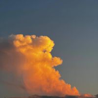 Iamwhoiam - Phonecalls From The Clouds