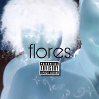 Dr4co - flores