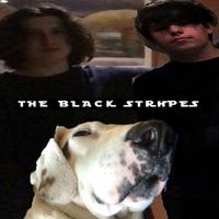 The Black Stripes - The Black Stripes