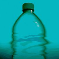 Water Bottle - Point and Laugh