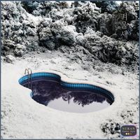 SURAN - Winter Bird