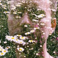 MRD - Flowers Of Flesh And Blood