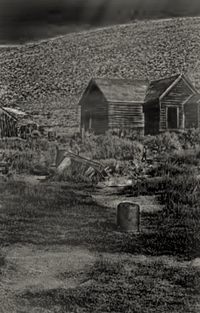 Leather Rider - Tumbleweed County