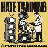 Punitive Damage - Hate Training