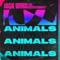 Jack Wins - Animals