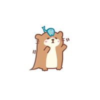 twinotter - twinotter