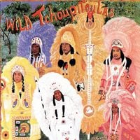 The Wild Tchoupitoulas - The Wild Tchoupitoulas