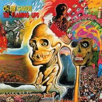 The Flaming Lips - Oh My Gawd!!!...The Flaming Lips