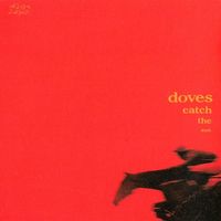 Doves - Catch the Sun